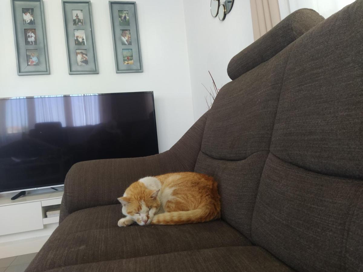 Apartment Juric Trogir Bagian luar foto