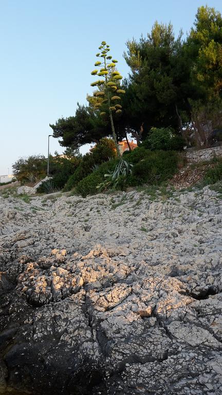 Apartment Juric Trogir Bagian luar foto